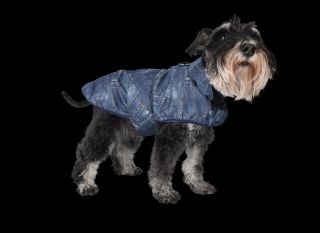 New collection Nově psí pleny, kalhotky. #new collection #psioblecky #psimoda #jeans #psiohoz